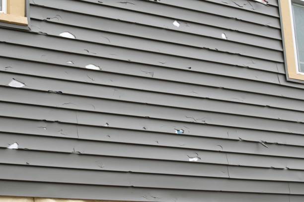 Best Hoarding Cleanup  in Ladera Ranch, CA